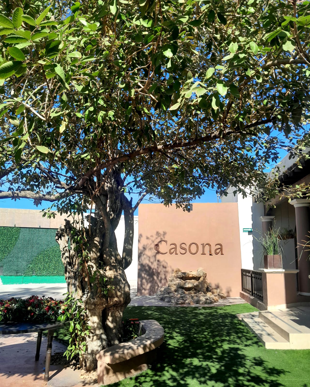 El árbol de día, con el letrero Casona en el muro y la fuente de piedra